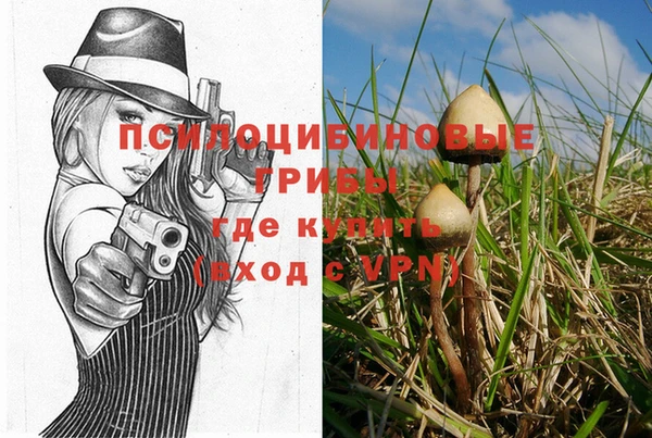 марки lsd Арсеньев