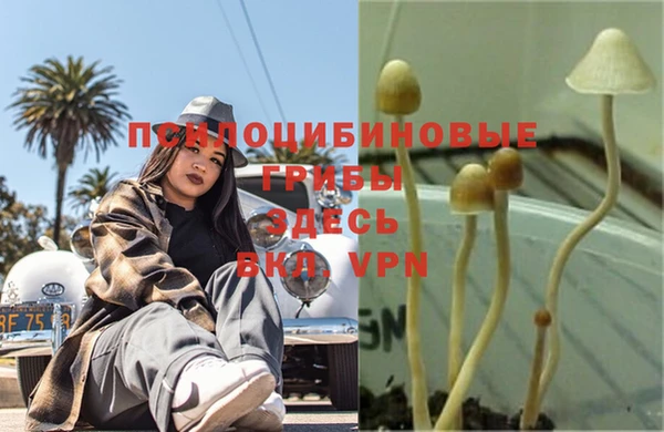 круглые Армянск